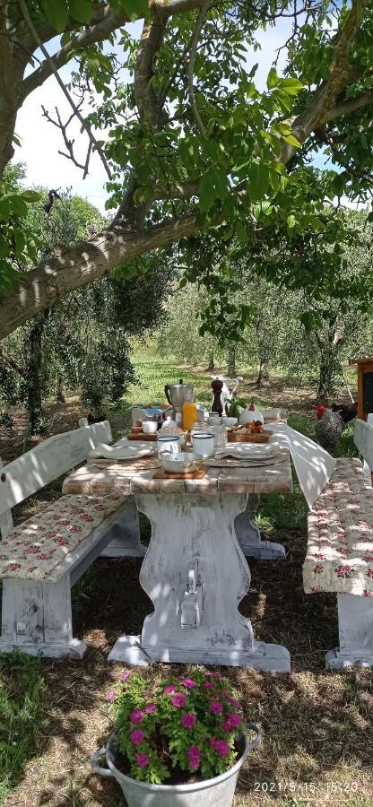 OlioeAlloro B&B San Vincenzo Exterior foto